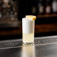 Gin Fizz