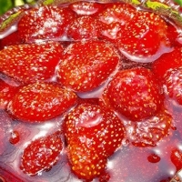ÇİYƏLƏK MÜRƏBBƏSİ