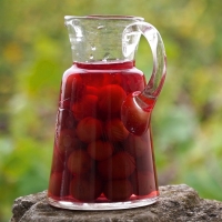 Kompot