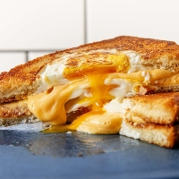 Cheese sandwich