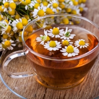 CHAMOMILE TEA