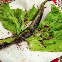 Bibər Kababı
