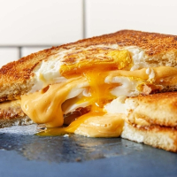 Cheese Sandwich