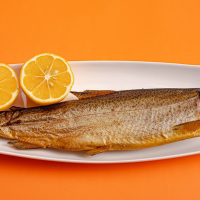 Forel (XL) 1 ədəd