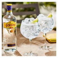 gin gordons