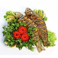 Farel balığı  Setkada