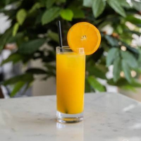 Glass of Juice