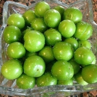 Göycə