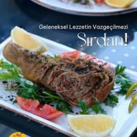 ETLİ ŞIRDAN