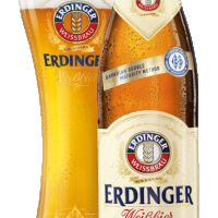 ERDİNGER