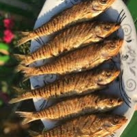 ŞAMAYKA