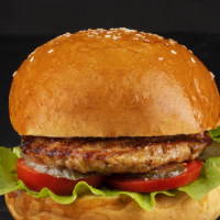 TOYUQ BURGER