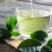 GREEN TEA
