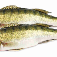 Sudak