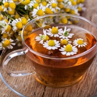 CHAMOMILE TEA