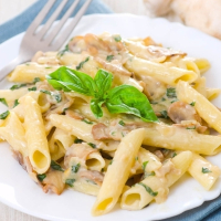 Penne Alfredo